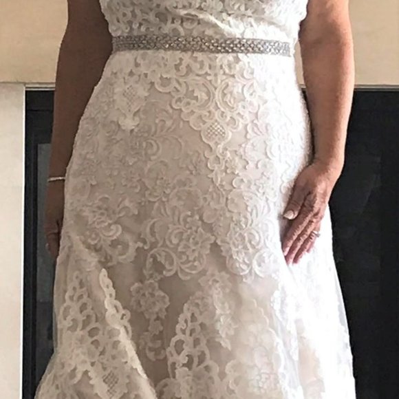 Bridal / Wedding Gown - Eddy K Milano Collection - Picture 4 of 5